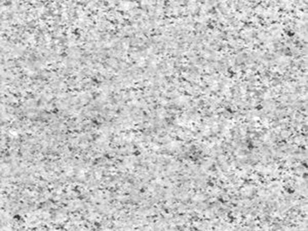 山东白麻为何适合做水景？